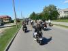 p1100061_t1.jpg