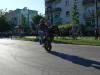 p1100178_t1.jpg