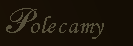 Polecamy
